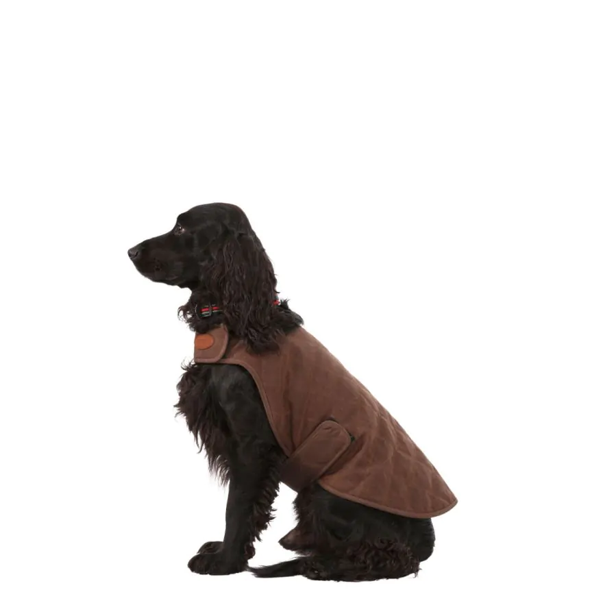 Trespass waterproof dog coat cheap