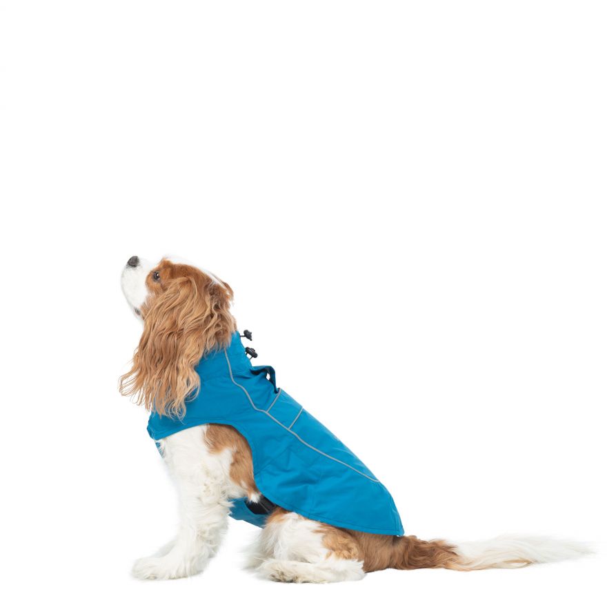 3 peaks dog raincoat