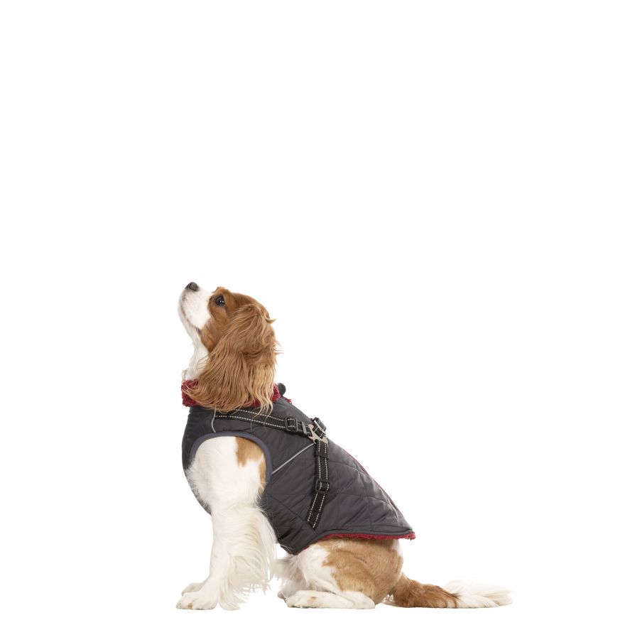 Trespaws XS Hercules Windproof 2 in 1 Dog Coat Carbon Trespass