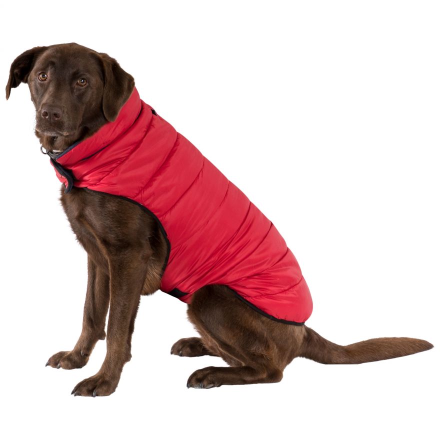 Kimmi Quilted Dog Coat Trespass
