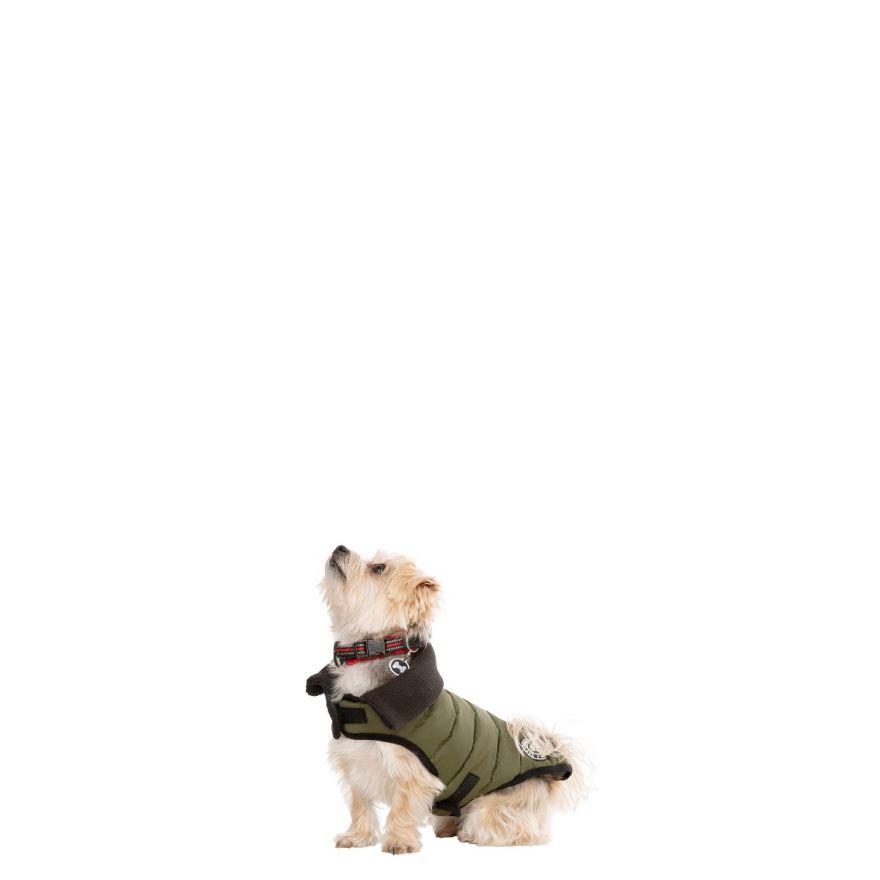 Xxs waterproof dog coat on sale