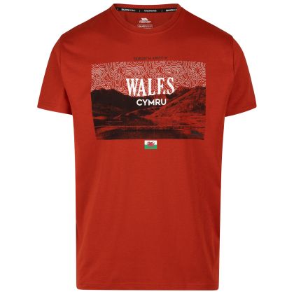 Trespass Male Casual Printed T-Shirt Ashta, Front view on mannequin