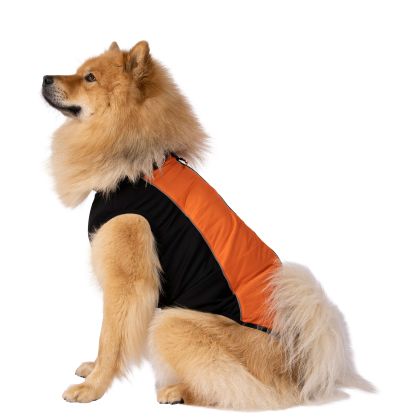 Trepaws Large Dog Jacket Beedle - Black & Burnt Orange