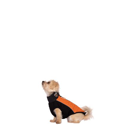 Trepaws XXS Dog Jacket Beedle - Black & Burnt Orange, Front view on mannequin