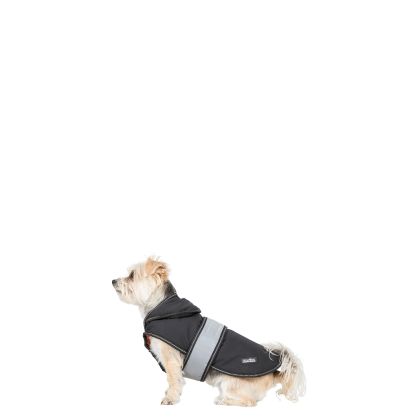 Trespaws XXS Softshell Dog Coat in Black X Butch X