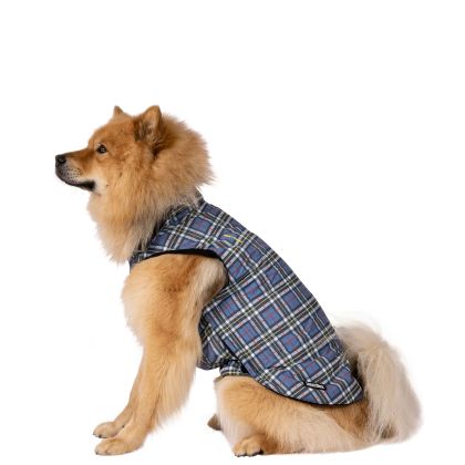 Trespaws Large Printed Dog Rain Coat Charly - TARTAN PRINT