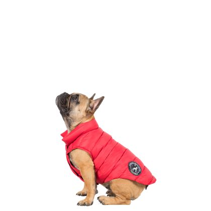 Trespaws Small Down Dog Jacket in Red Dogby