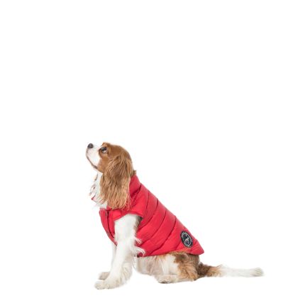 Trespaws XS Down Dog Jacket in Red Dogby