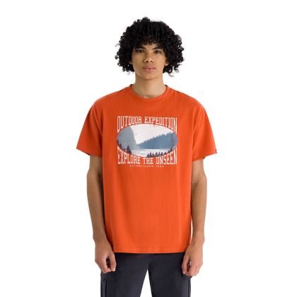 Mens Casual Round Neck T-Shirt Gallon in Burnt Orange