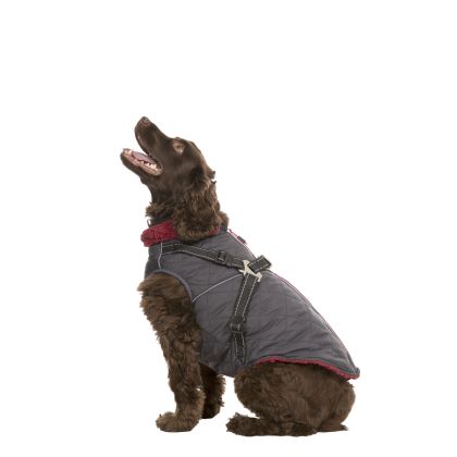 Trespaws Medium 2 in 1 Windproof Dog Coat Hercules