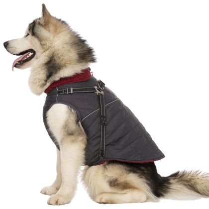 Trespaws XL 2 in 1 Windproof Dog Coat Hercules