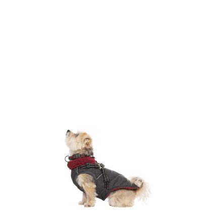Trespaws XXS Hercules Windproof 2 in 1 Dog Coat Carbon