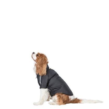 Trespaws XS Waterproof Dog Coat in Black Khaos