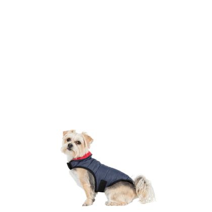 Trespaws XXS Kimmi Quilted Reversible Packaway Dog Coat Flint