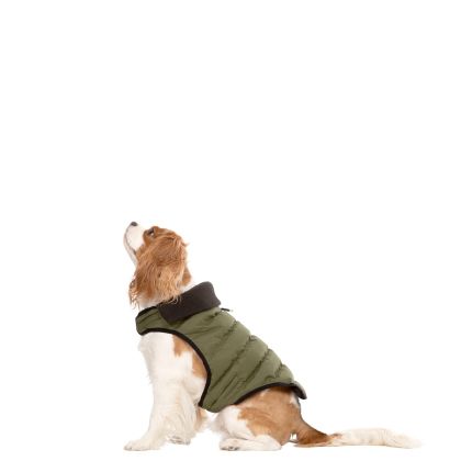 Trespaws XS Eco Friendly Dog Puffer Jacket in Khaki Lloyd