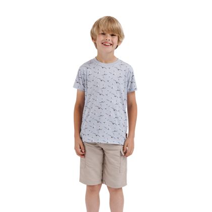 Boys Printed T-Shirt Lochside in Grey Skies, Front view on mannequin