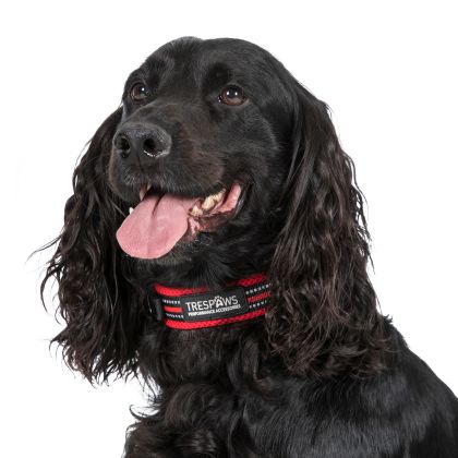 Trespaws Medium SCOOBY  DOG COLLAR POSTBOX RED