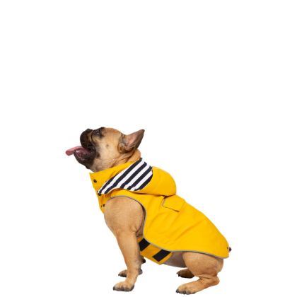 Trespaws Small Waterproof Dog Coat Seadog