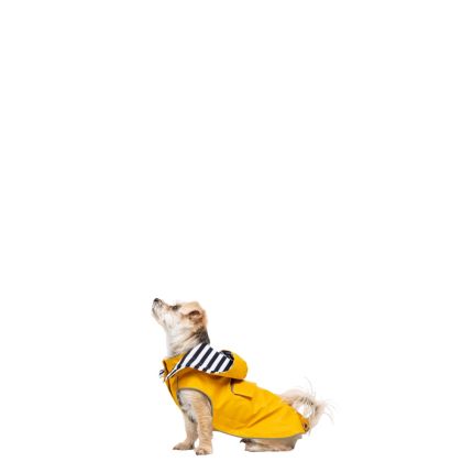 Trespaws XXS Waterproof Dog Coat Seadog