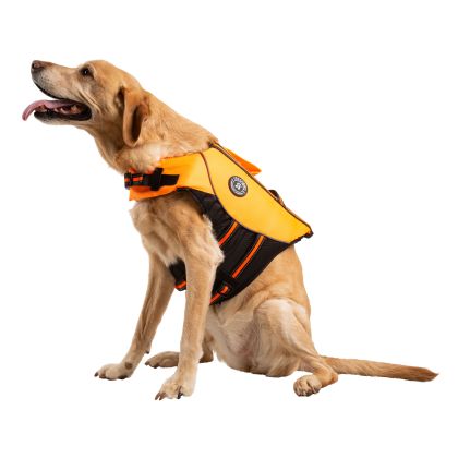 Trespaws Bouyancy Aid Surfdog - HIGH VIS L, Front view on mannequin