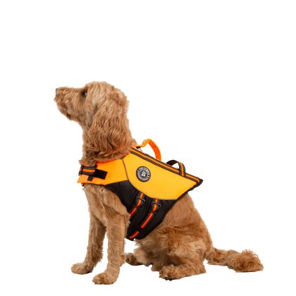 Trespaws Bouyancy Aid Surfdog - HIGH VIS M, Front view on mannequin