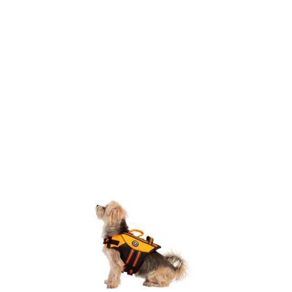 Trespaws Bouyancy Aid Surfdog - HIGH VIS XXS, Front view on mannequin