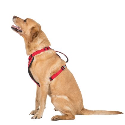 Trespaws L/XL Pet Car Safety Harness in Postbox Red Tanked