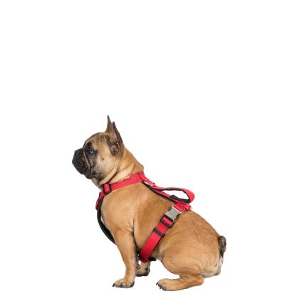 Trespaws S/M Pet Car Safety Harness in Postbox Red Tanked