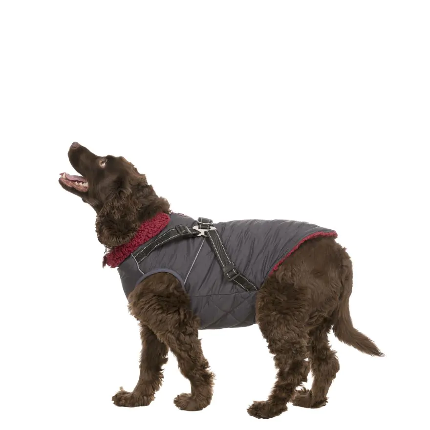 Trespaws Medium in Windproof Dog Coat Hercules Trespass
