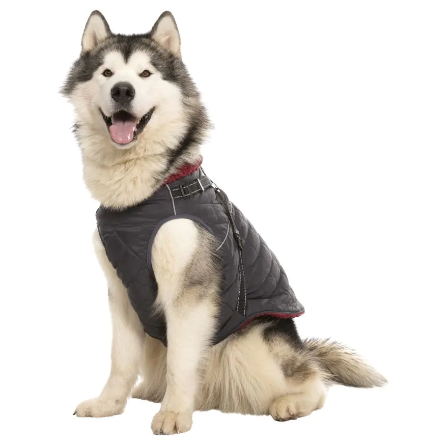 Trespaws XL in Windproof Dog Coat Hercules Trespass