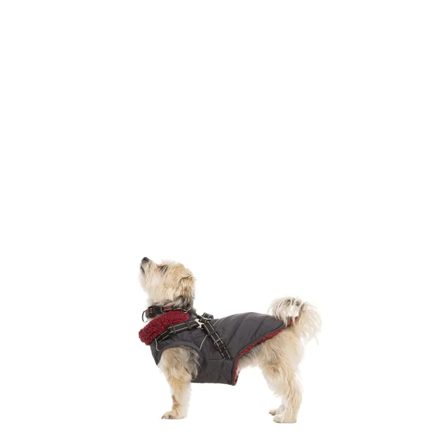 Trespaws XXS Hercules Windproof in Dog Coat Carbon Trespass