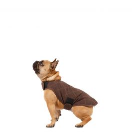 Trespaws Artemis Hundejacke Unisex | Bark Design Für Hunde