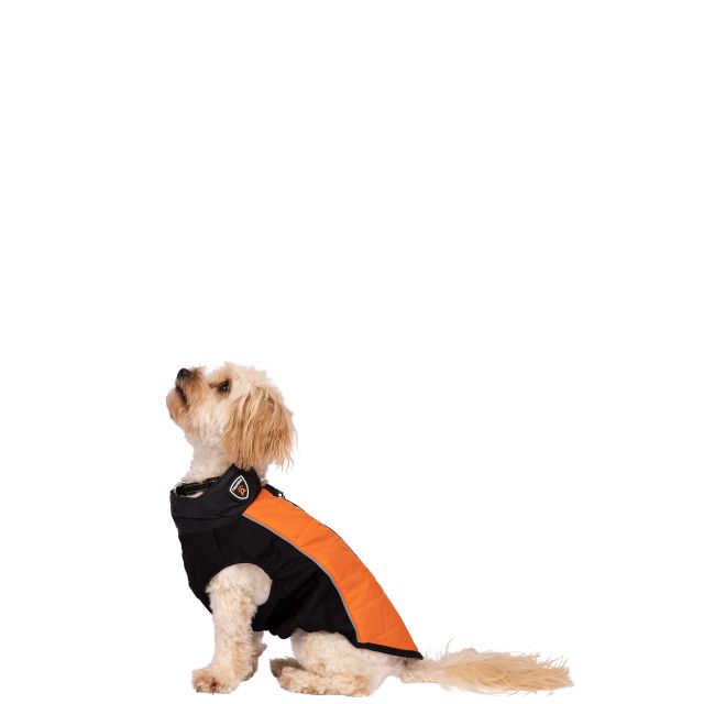 Trespass dog deals jacket