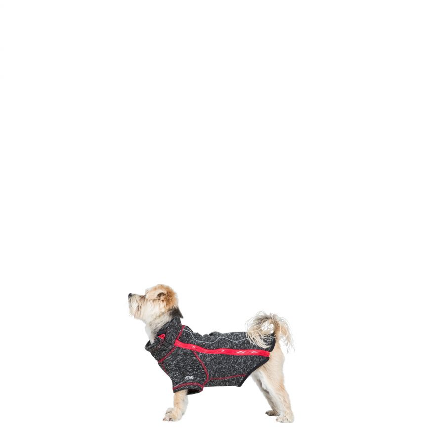 かっぱちゃん Kappaちゃん mignon poodle jacket かっぱちゃん Kappaちゃん mignon poodle jacket