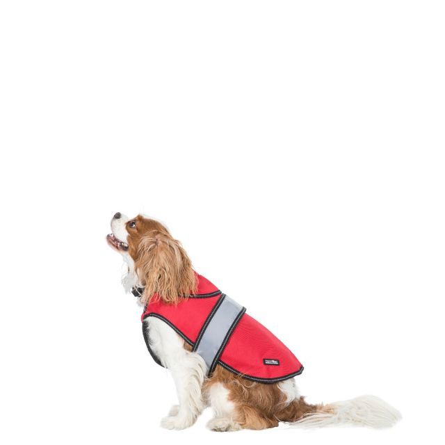 waterproof dog coat