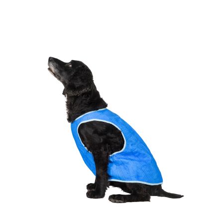 Trespaws Medium Dog Cooling Vest in Sapphire Alaska