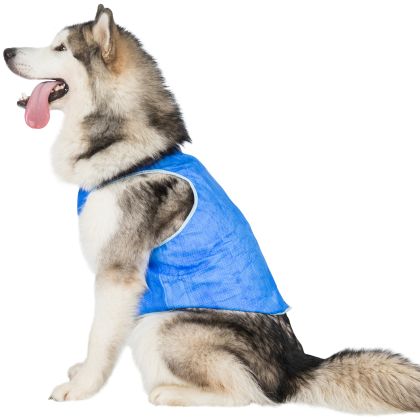 Trespaws XL Dog Cooling Vest in Sapphire Alaska