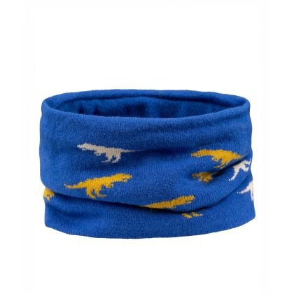 Trespass Boys Neckwarmer Darren in Blue