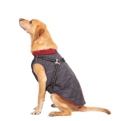 Trespaws Large 2 in 1 Windproof Dog Coat Hercules