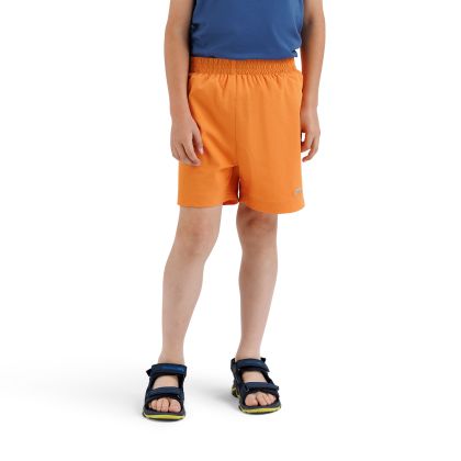 Boys Swim Shorts Inshore In Pumpkin