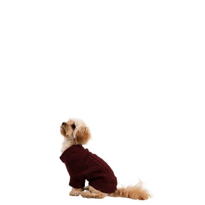 Trespaws Dog Jumper Snowhound - MERLOT XS, Front view on mannequin