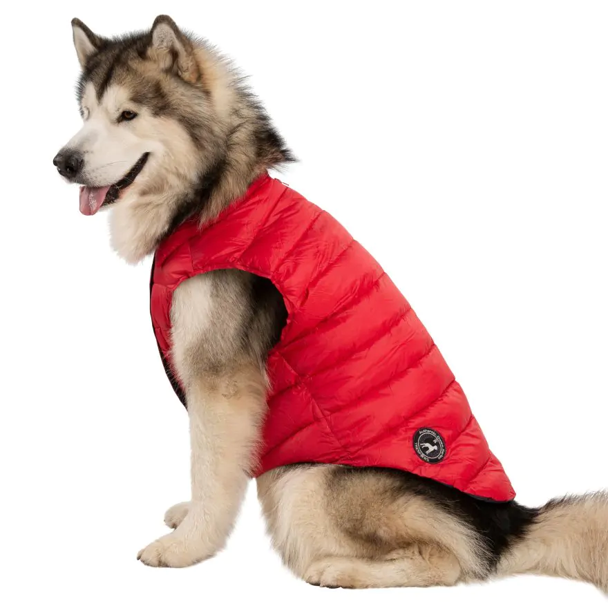 Xlarge dog coat hotsell