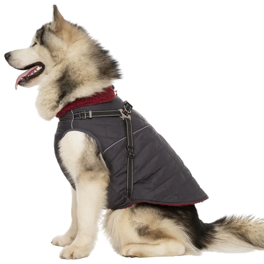 Trespaws XL in Windproof Dog Coat Hercules Trespass