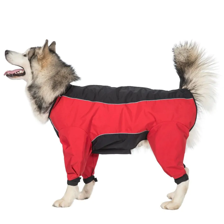 Dog coat that covers belly and legs online